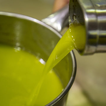 Olio nuovo 2026: preordina il nuovo raccolto del Gargano
