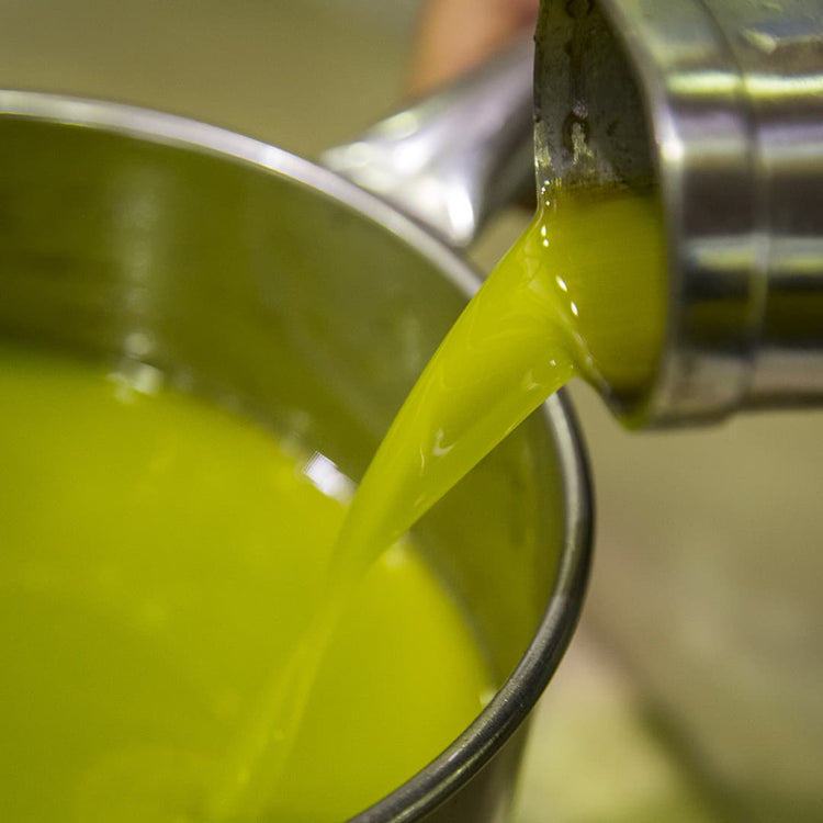 Olio nuovo 2026: preordina il nuovo raccolto del Gargano