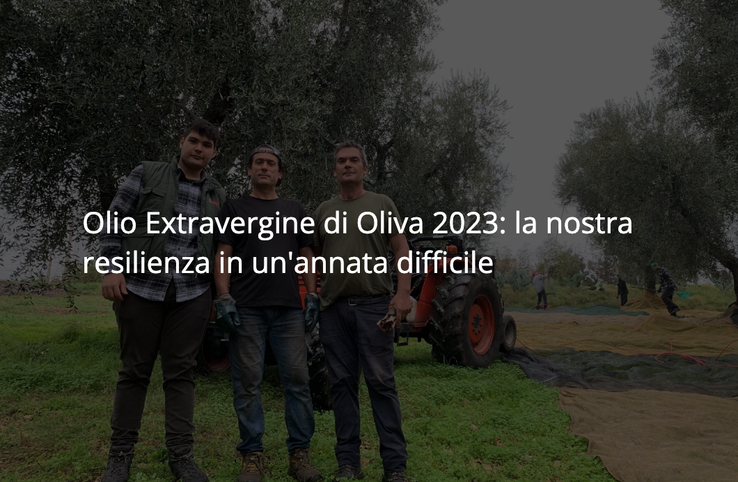 Olio Extravergine di Oliva 2023: la nostra resilienza in un'annata difficile